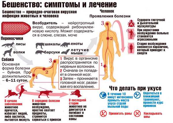 Внешние проявления