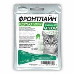 Болячки, коросты у кошек 