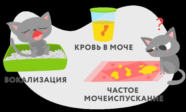 Диета и питание