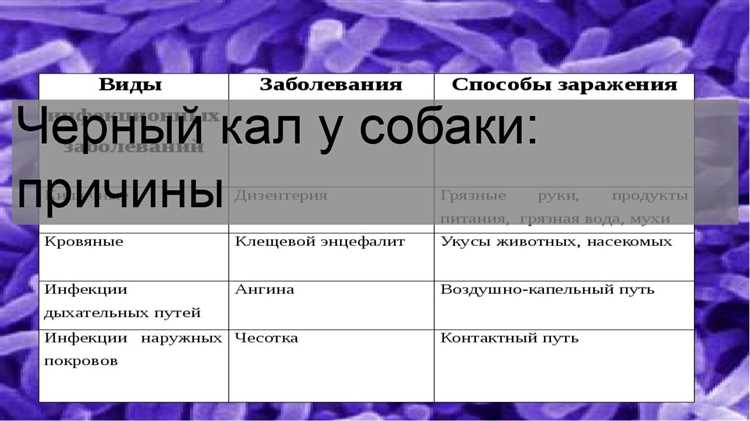 Черный кал у собаки - причины и что делать Черный кал у собаки