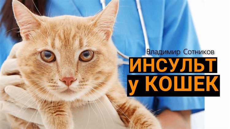 Влияние возраста и породы