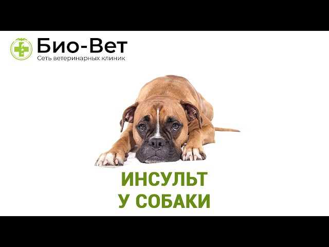 Физические проявления