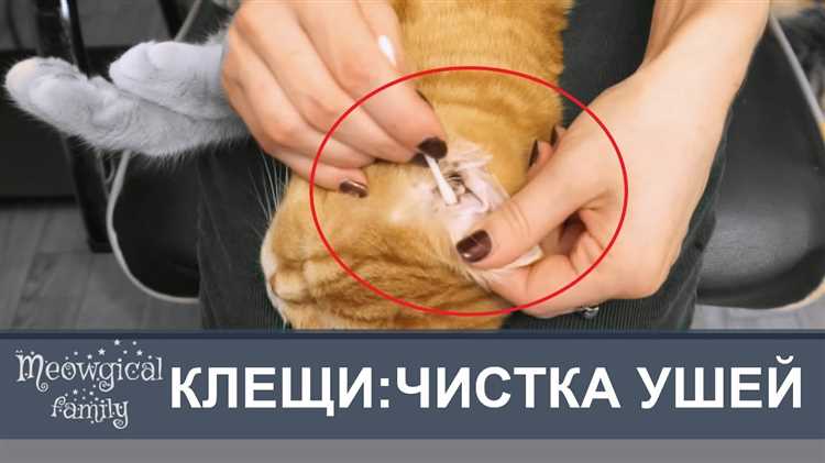 Специализированные средства для ухода за ушами