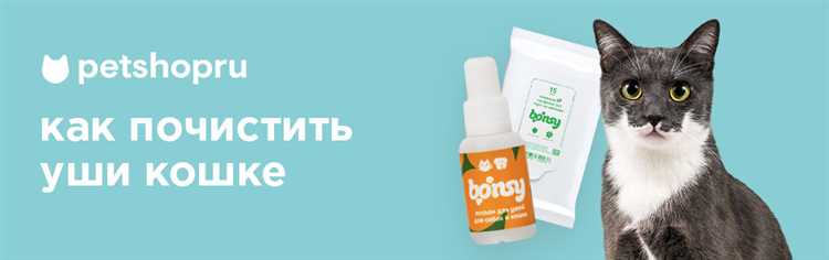 Профилактика здоровья ушей питомца