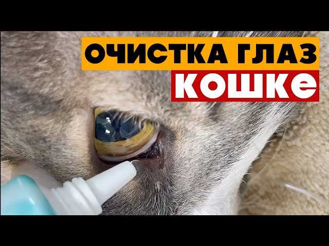 Сохранение здорового внешнего вида