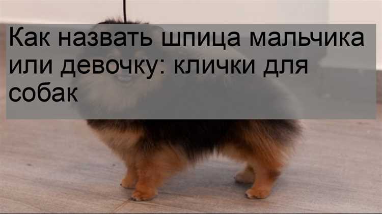 1. Ориентируйтесь на характерные черты