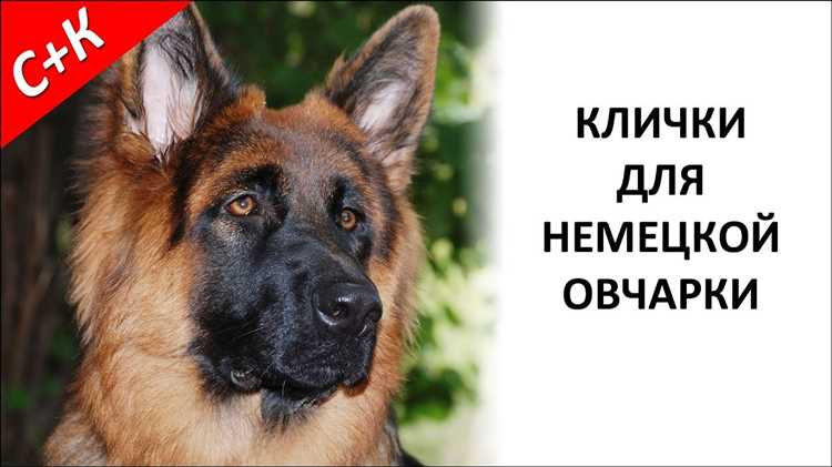 Адаптация к физическим особенностям