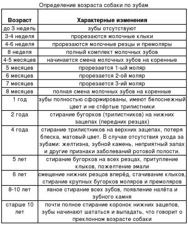 Использование структуры зубов и зубных осадков
