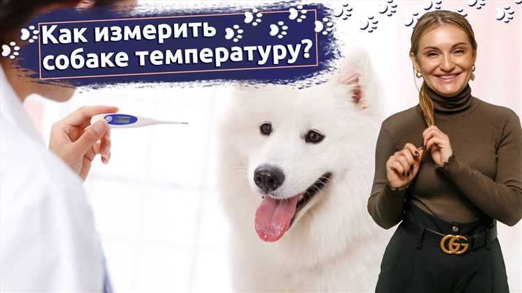 Подбор подходящего места для отдыха