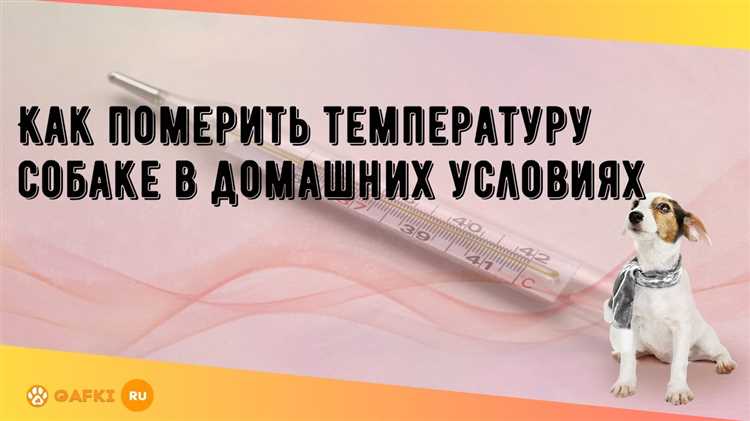 Использование бесконтактных термометров
