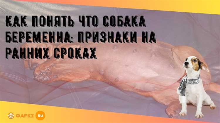 Наблюдайте изменения в поведении