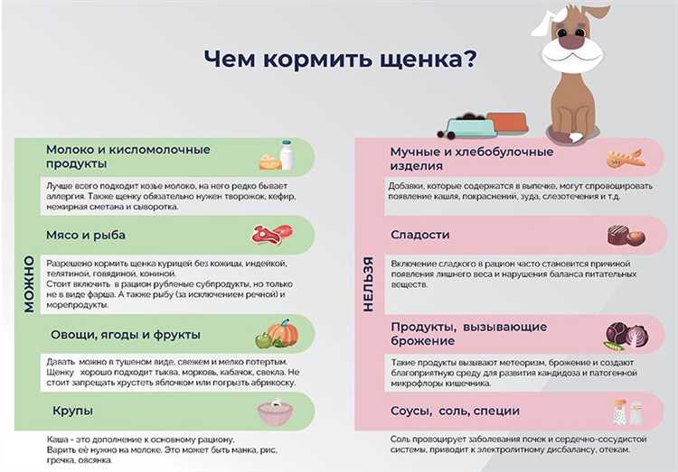 Частота кормления