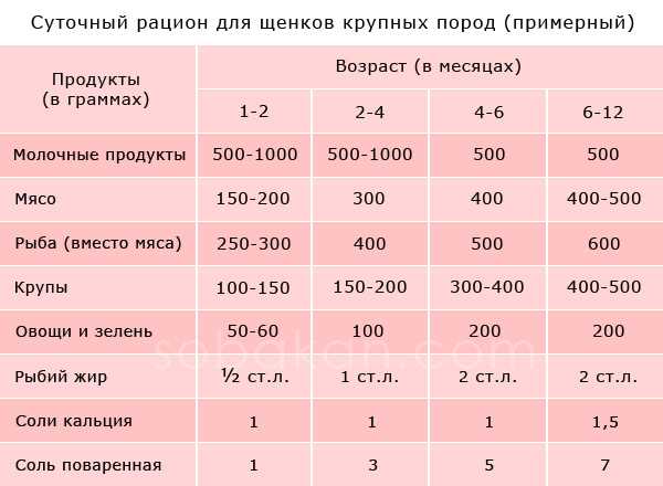 Как правильно кормить собаку?