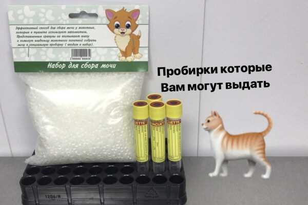 1. Увеличение водопотребления