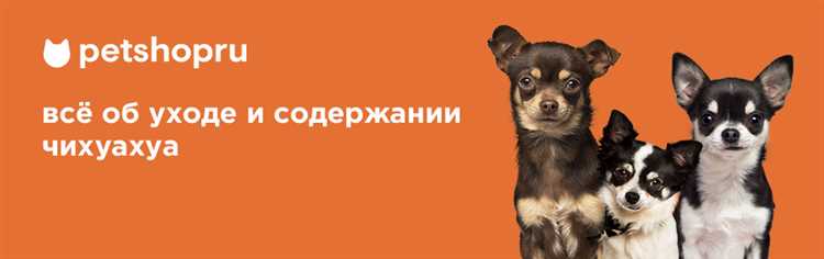 Выбор правильного места