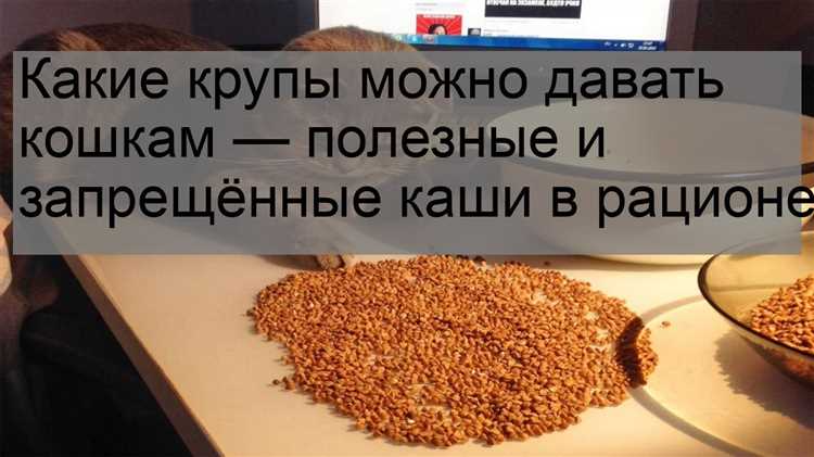 Избегайте опасных злаков: советы специалиста
