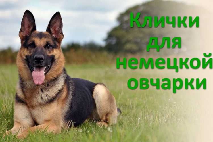 2. Вайра