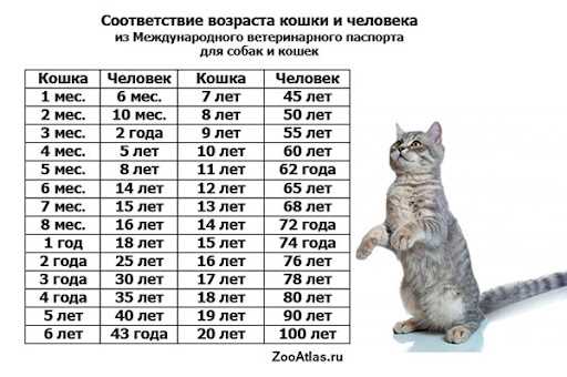 Зрелость: Первые признаки износа