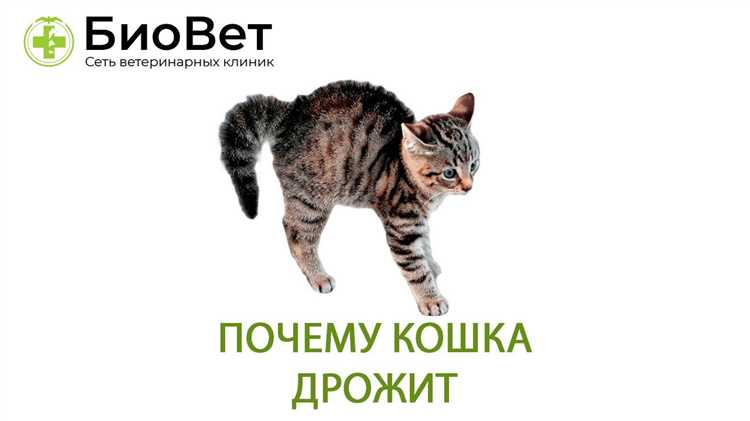 Физические признаки стресса у животных