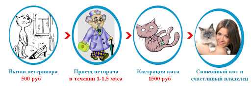 Проявления меньшей агрессии