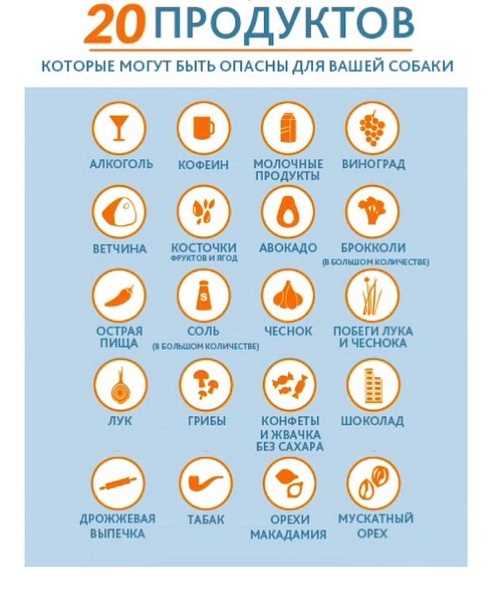 Использование натуральных специй и трав