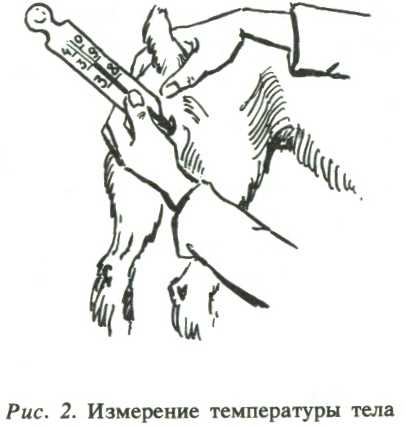 Здоровье и комфорт