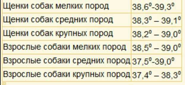 Понимание нормы как показателя животного благополучия