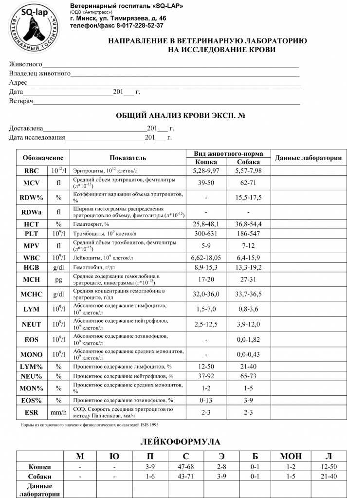 Общий и биохимический анализы крови у кошек - расшифровка, отклонения, нормы Общий и биохимический анализы крови у кошек: расшифровка, отклонения, нормы