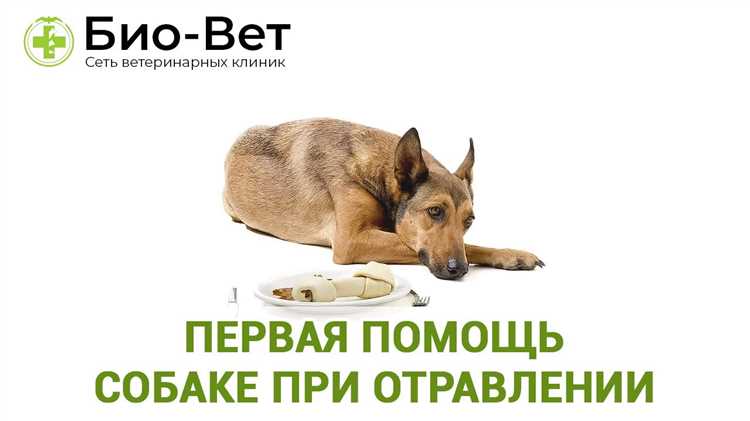 Поведенческие сигналы