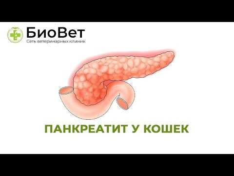То, что скрывают поверхностные признаки