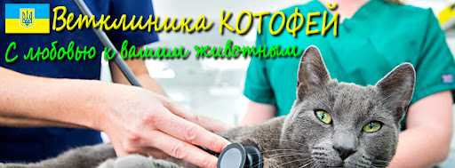 Как обезопасить вашего питомца