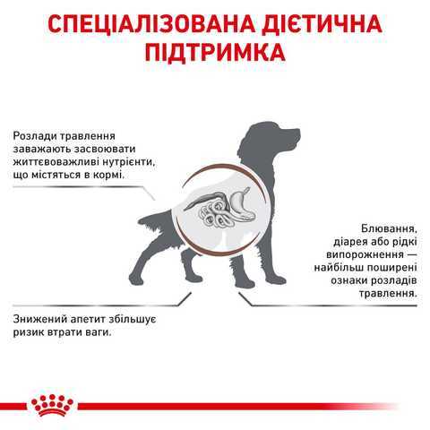 Диета и режим питания
