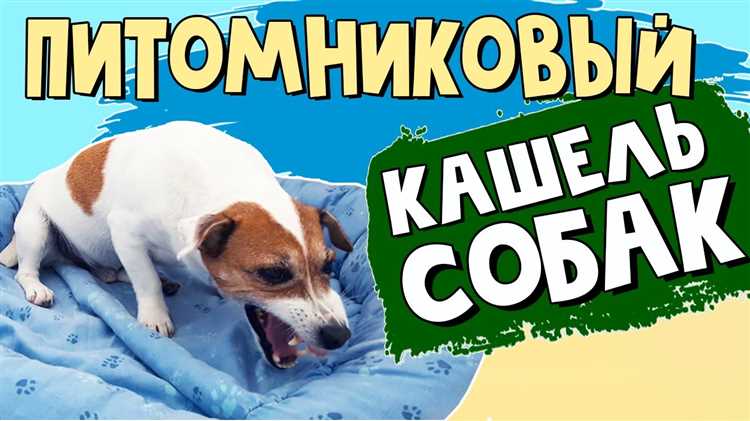 Здоровье питомцев: основные причины и способы выявления