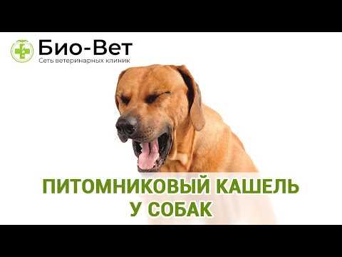 Методы диагностики