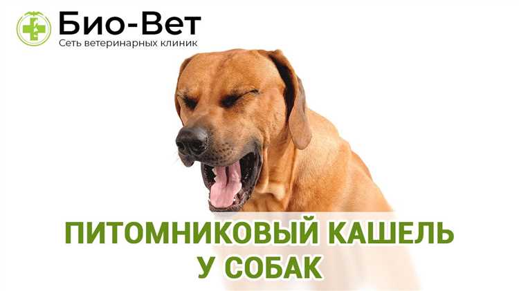 Источники возникновения