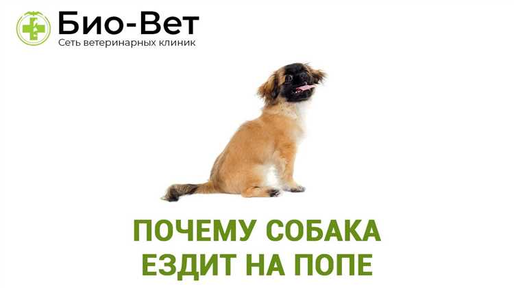 Методы коррекции и обучения