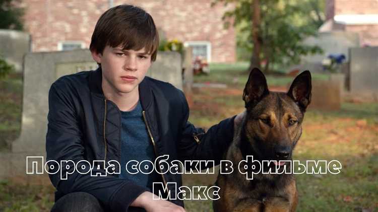 Порода собаки 