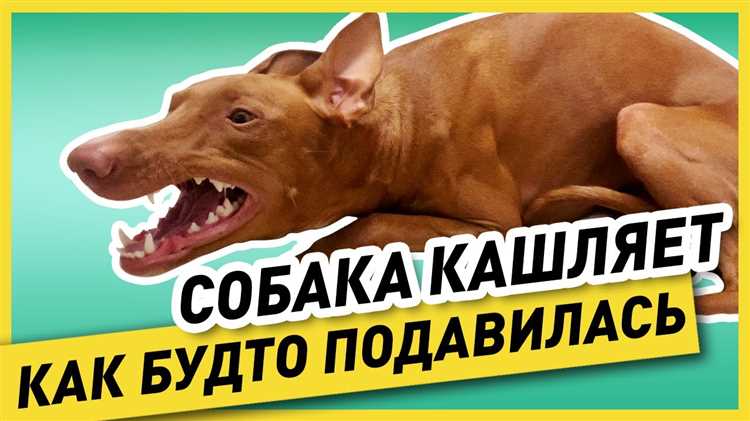 Режим отдыха и сон