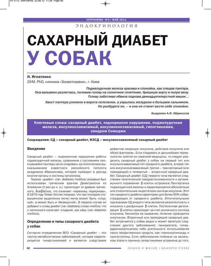 Антигликемические стратегии для питомцев: новейшие подходы и перспективы