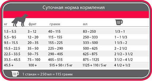 Определение потребления сушёного корму питомца