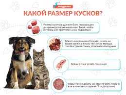 Как определить правильную норму сухого корма для вашей собаки в день Сколько сухого корма давать собаке: норма в день