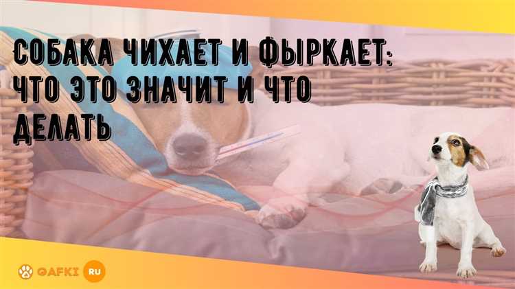 Физические причины чихания и фыркания