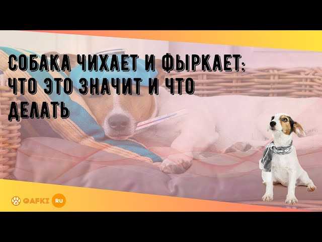 Эмоциональные факторы и их влияние