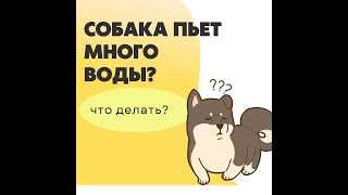1. Изменения в уровне активности