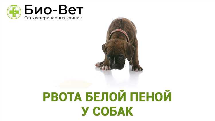 Опасные состояния и как помочь