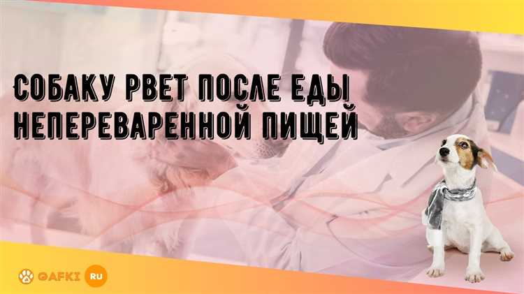 Привычки при приеме пищи и что делать с ними