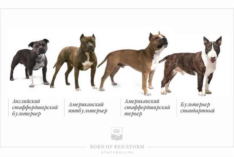 Любимые моменты