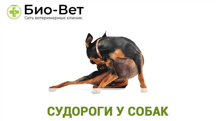 Умеренные нагрузки