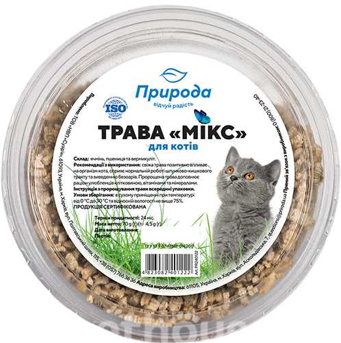 Растения для кошек: варианты для различных потребностей