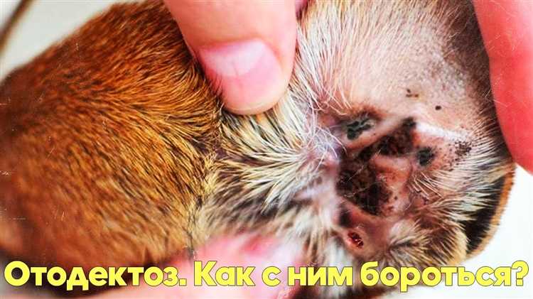 Соблюдение гигиены